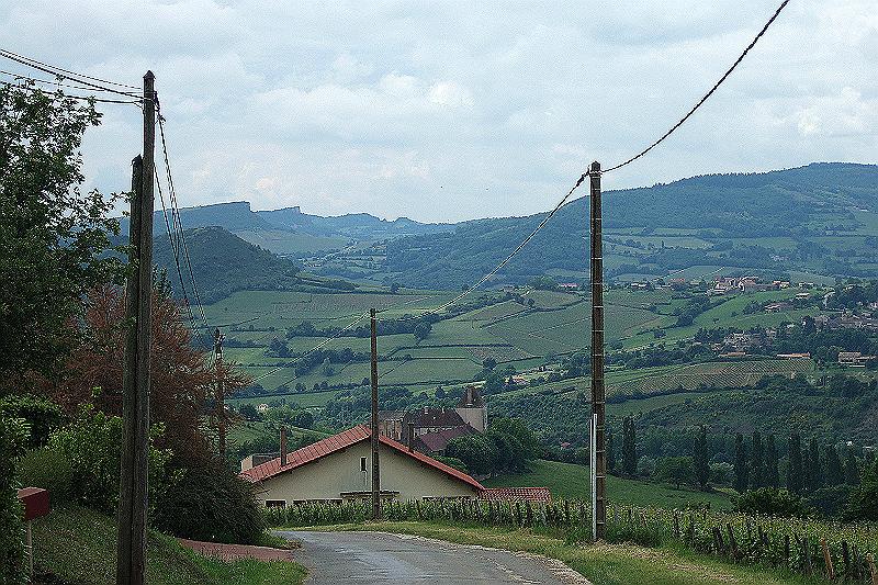 2010-06- (26).JPG